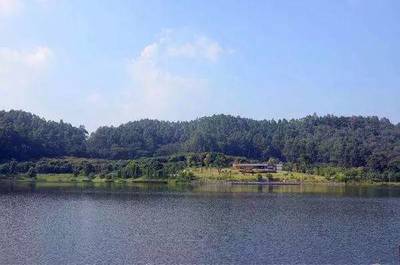 广州南郊最大森林公园的观光服务体验