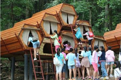 双星闪耀林海间 朱雀与太平国家森林公园共获2019全国森林康养产业殊荣